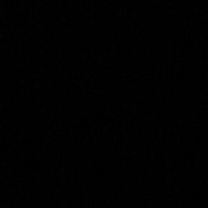 Meet your Posher, Brady